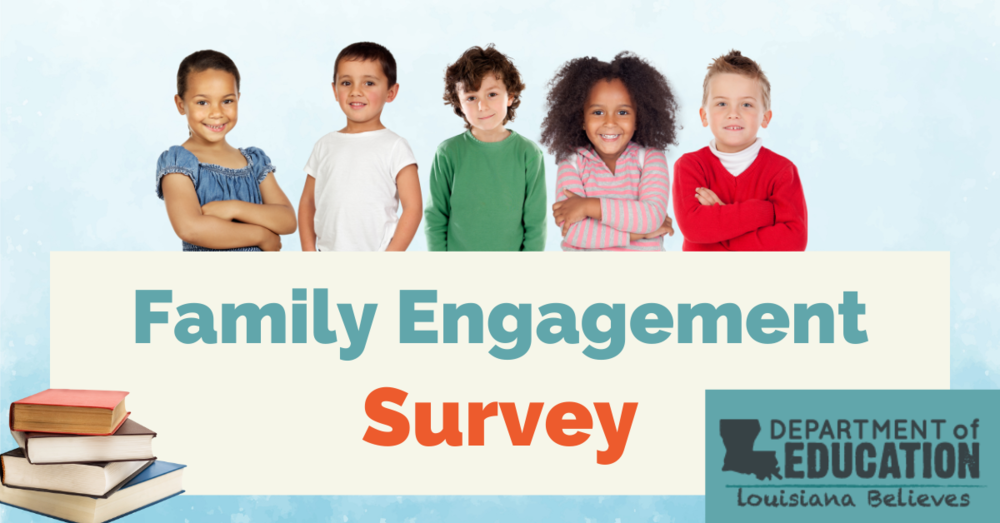 IDEA Survey